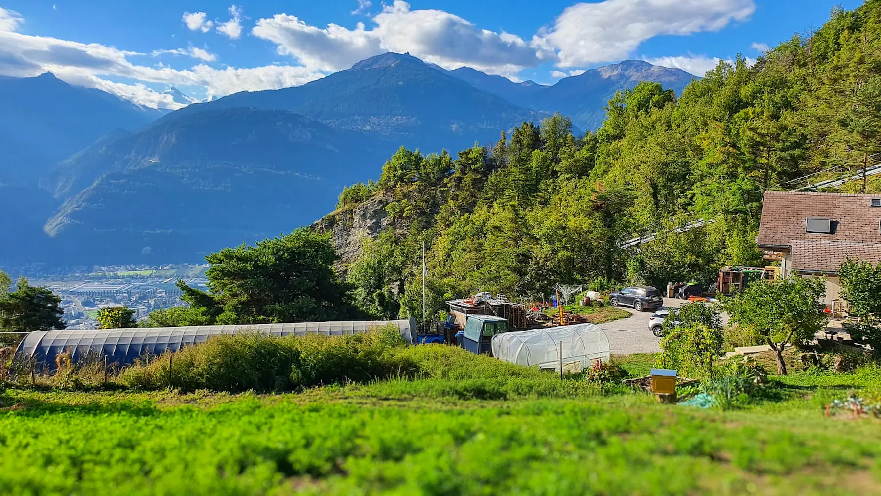 ferme valais artisanat mouton